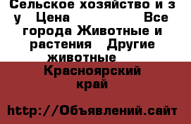 Сельское хозяйство и з/у › Цена ­ 2 500 000 - Все города Животные и растения » Другие животные   . Красноярский край